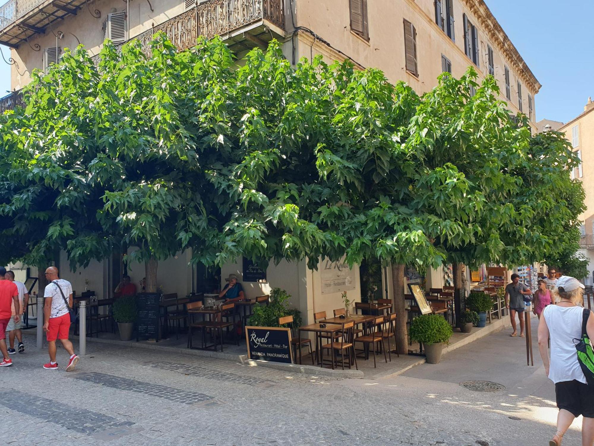 Le Royal Hotel Restaurant Bonifacio  Eksteriør bilde
